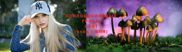 трава Бронницы
