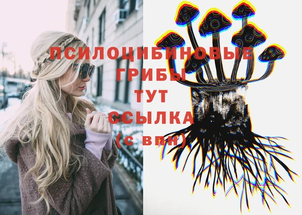 трава Бронницы
